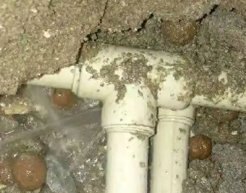 金安测漏水多少钱