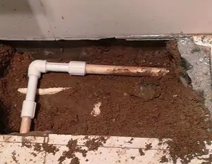 金安测漏水哪家好