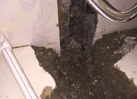 金安卫生间测漏水哪家好